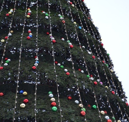 В Красноярске появится самая высокая новогодняя ёлка
