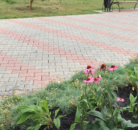 В парке 400-летия высадили многолетние цветы