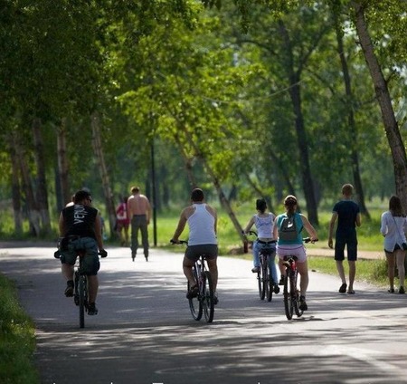 20 точек велопроката начали работу в Татышев-парке